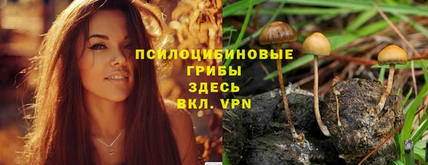 ALPHA PVP Козловка