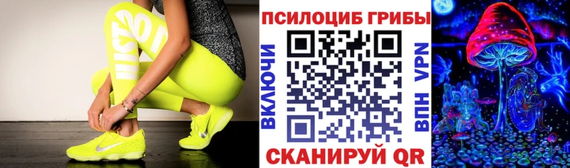 купить наркотики цена  Томари  Псилоцибиновые грибы ЛСД 
